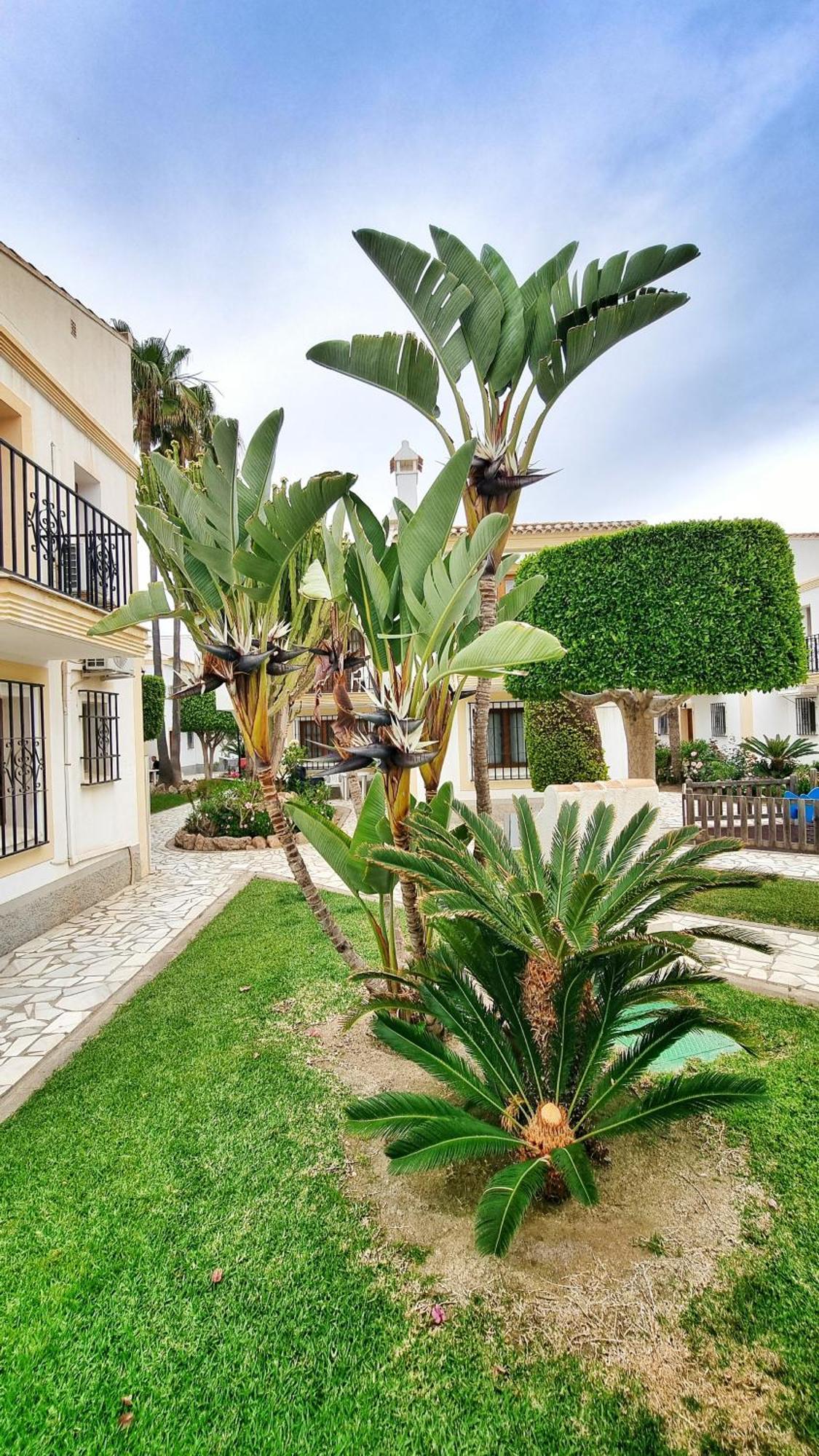 Apartamento Sol Y Mar Playas de Vera Extérieur photo