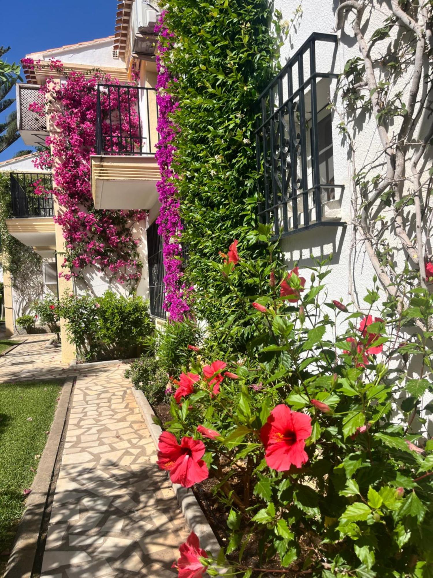 Apartamento Sol Y Mar Playas de Vera Extérieur photo